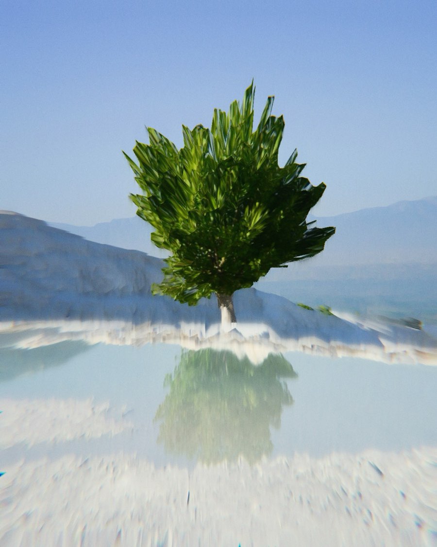 Aerial view of a lone tree beside still water
